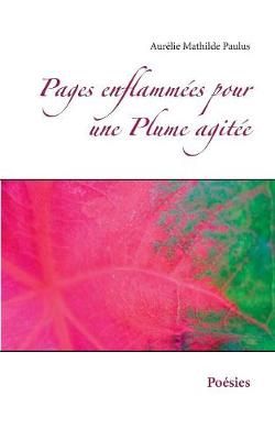 Pages enflammées pour une Plume agitée By Paulus 9782322102044