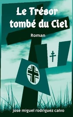 Trésor Tombé Du Ciel By Rodriguez Calvo 9782322379477 (Paperback)