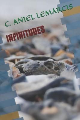 Infinitudes By C Aniel Lemarcis 9782355350221 (Paperback)