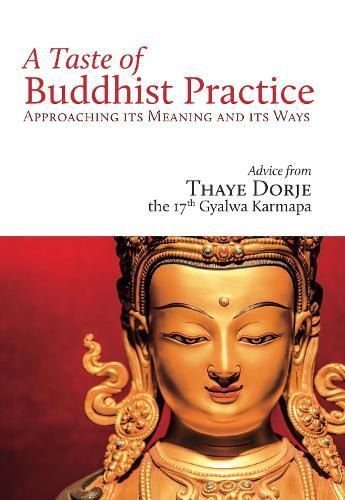 A Taste of Buddhist Practice 9782360170272 (Paperback)