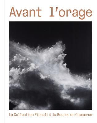 Before the Storm 9782373721553 (Hardback)