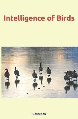 Intelligence of Birds By Nature and Human Studies, Collection