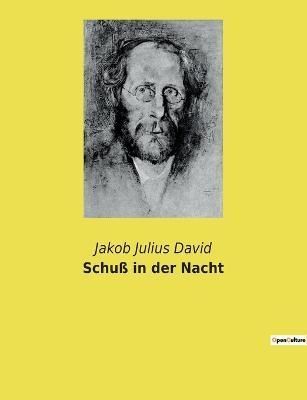 Schuß in der Nacht By David 9782385084172 (Paperback)
