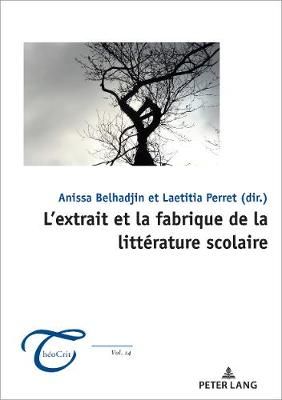 L'Extrait Et La Fabrique de la Littérature Scolaire By Dufays