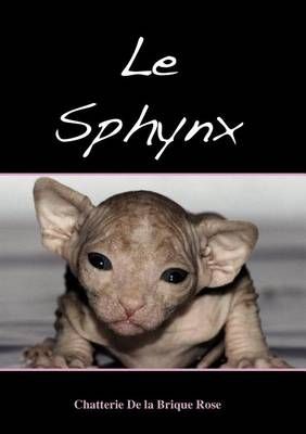 Le sphynx By Jean-Claude Dufour 9782810602759 (Paperback)