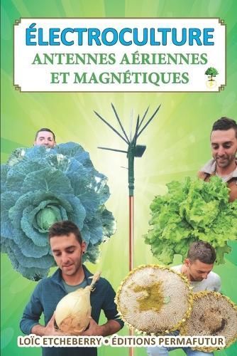 Antennes Aériennes Et Magnétiques By Loïc Etcheberry 9782958613211