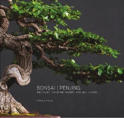 Bonsai | Penjing By Danielle Ouellet 9782980121852 (Hardback)