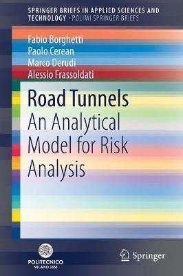Road Tunnels PoliMI SpringerBriefs 9783030005689 (Paperback)