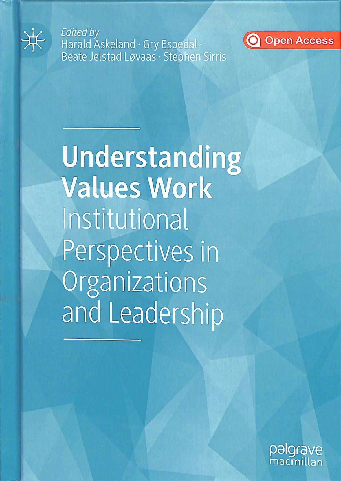 Understanding Values Work 9783030377472 (Hardback)