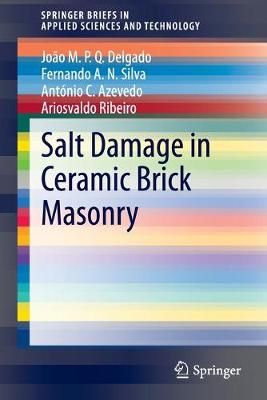 Salt Damage in Ceramic Brick Masonry 9783030471132 (Paperback)