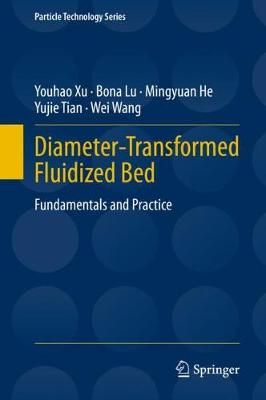 Diameter-Transformed Fluidized Bed 9783030475826 (Hardback)