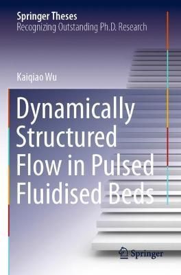 Dynamically Structured Flow in Pulsed Fluidised Beds By Kaiqiao Wu
