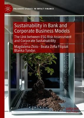 Sustainability in Bank and Corporate Business Models 9783030720971