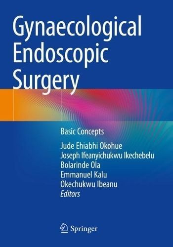 Gynaecological Endoscopic Surgery 9783030867706 (Paperback)