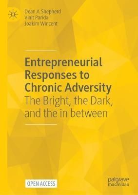 Entrepreneurial Responses to Chronic Adversity 9783031048869