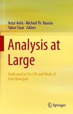 Analysis at Large 9783031053306 (Hardback)