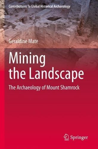Mining the Landscape By Geraldine Mate 9783031129087 (Paperback)