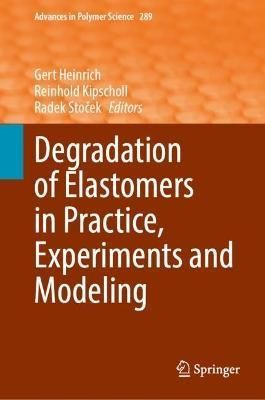 Degradation of Elastomers in Practice, Experiments and Modeling