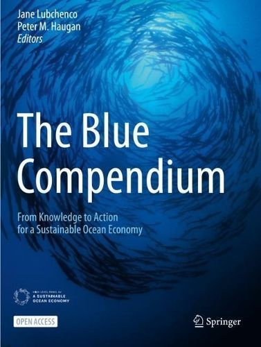 The Blue Compendium 9783031162794 (Paperback)
