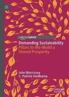 Demanding Sustainability By John Morrissey, C. Patrick Heidkamp