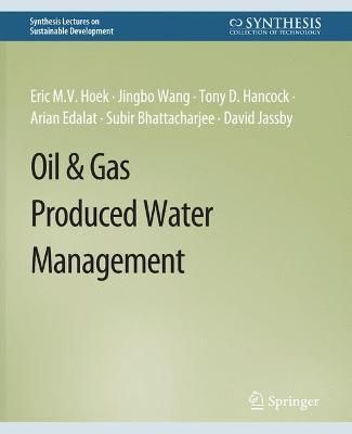 Oil & Gas Produced Water Management 9783031795039 (Paperback)