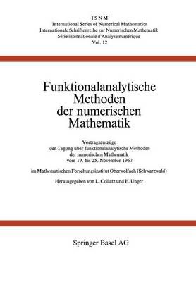 Funktionalanalytische Methoden Der Numerischen Mathematik (Paperback)