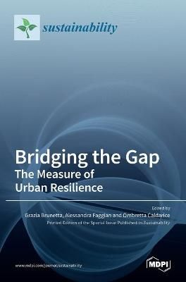 Bridging the Gap By Brunetta 9783036507668 (Hardback)