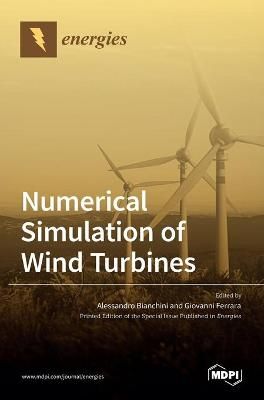 Numerical Simulation of Wind Turbines By Ferrara 9783036511658