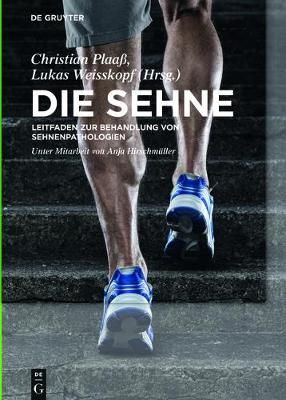 Die Sehne By Plaaß Becher, Christian Christoph 9783110427288
