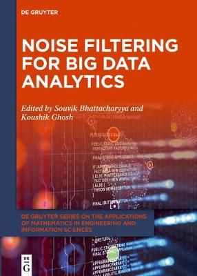 Noise Filtering for Big Data Analytics 9783110697094 (Hardback)