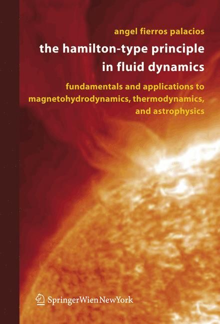 The Hamilton-Type Principle in Fluid Dynamics 9783211249642