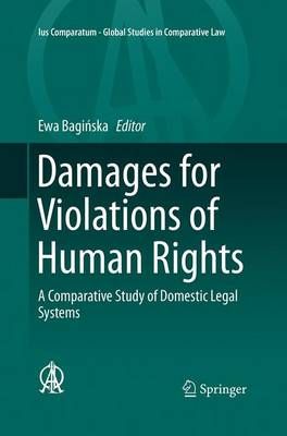Damages for Violations of Human Rights : A Comparative Study of Domestic Legal Systems