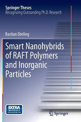 Smart Nanohybrids of RAFT Polymers and Inorganic Particles (Paperback)