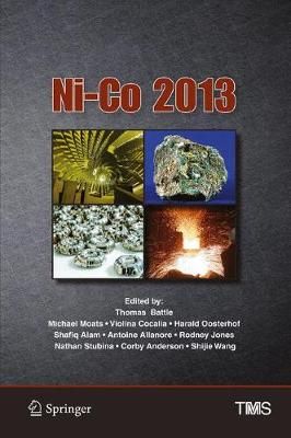 Ni-Co 2013 9783319485812 (Hardback)