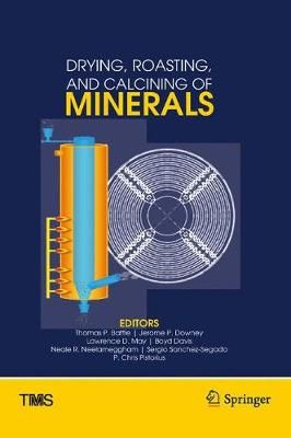 Drying, Roasting, and Calcining of Minerals 9783319486000 (Hardback)