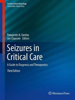 Seizures in Critical Care 9783319495552 (Hardback)