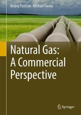 Natural Gas: A Commercial Perspective 9783319532486 (Hardback)