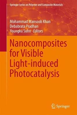 Nanocomposites for Visible Light-Induced Photocatalysis 9783319624457