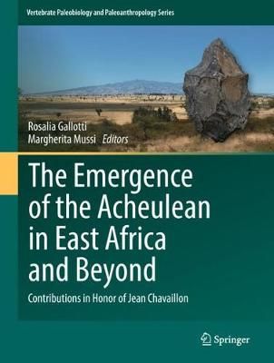 The Emergence of the Acheulean in East Africa and Beyond 9783319759838