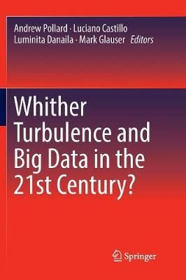 Whither Turbulence and Big Data in the 21st Century? 9783319822976