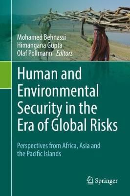 Human and Environmental Security in the Era of Global Risks (Hardback)
