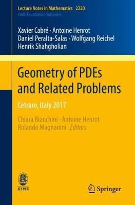 Geometry of PDEs and Related Problems 9783319951850 (Paperback)