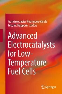 Advanced Electrocatalysts for Low-Temperature Fuel Cells 9783319990187