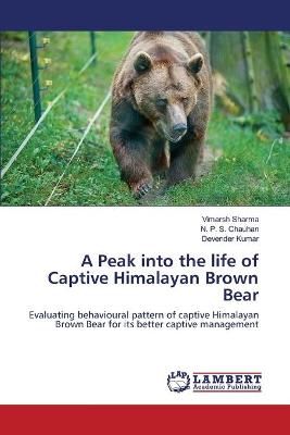Peak into the life of Captive Himalayan Brown Bear By Sharma