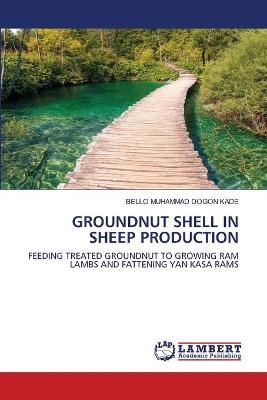 Groundnut Shell in Sheep Production By Muhammad Dogon Kade (Paperback)