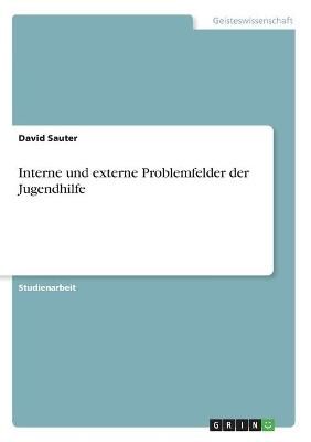 Interne und externe Problemfelder der Jugendhilfe By David Sauter