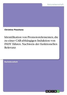 Identifikation von Promotorelementen, die zu einer CAR-abhängigen Induktion von INDY führen. Nachweis der funktionellen Relevanz