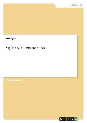 Agilstabile Organisation By Anonym 9783346743114 (Paperback)