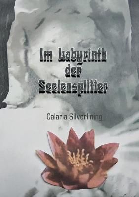 Im Labyrinth Der Seelensplitter By Carlaria Silverlining 9783347227453