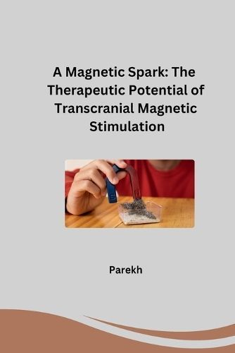 A Magnetic Spark By Parekh 9783384253620 (Paperback)